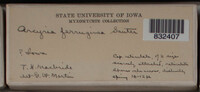 Image Associated With the Occurence